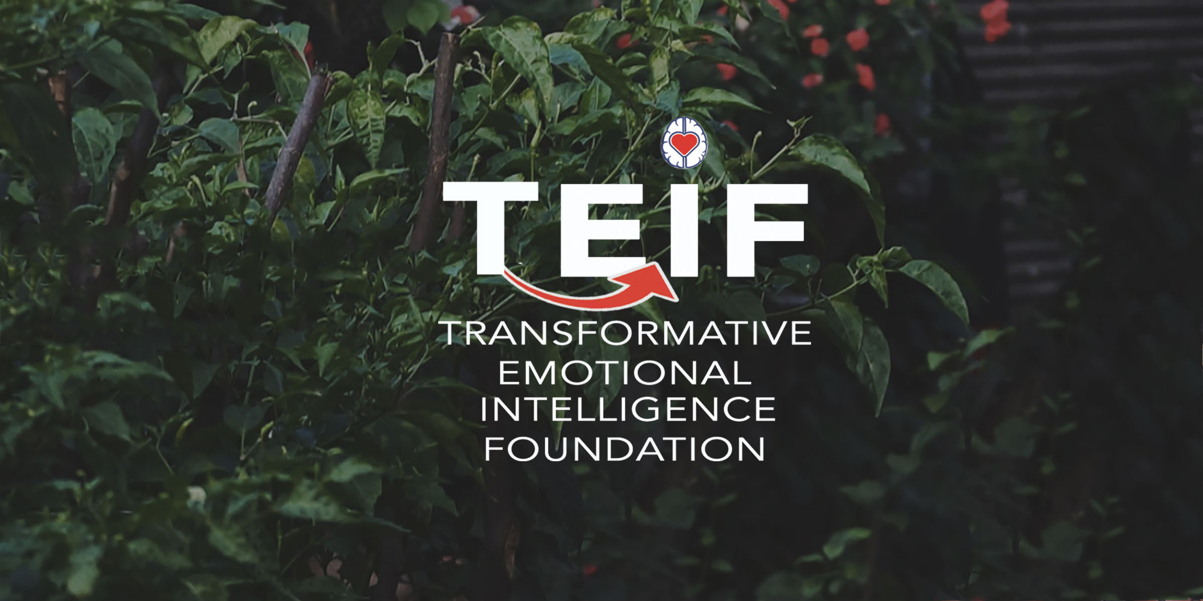 TEI Foundation
